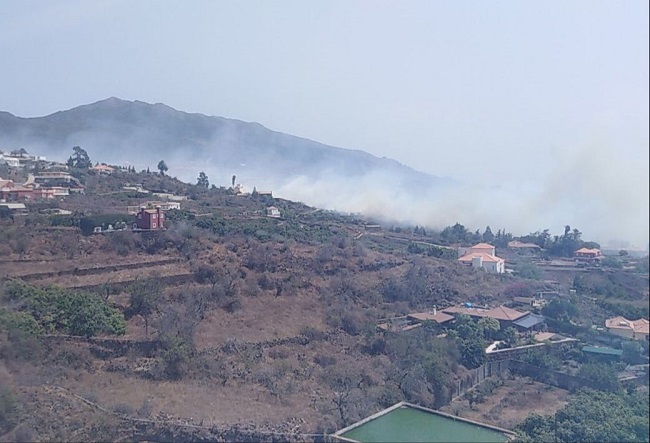 Incendio Forestal